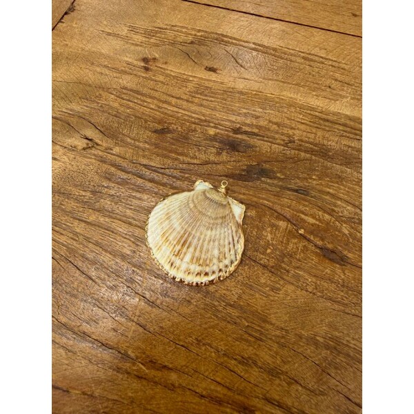 Pingente  de concha 