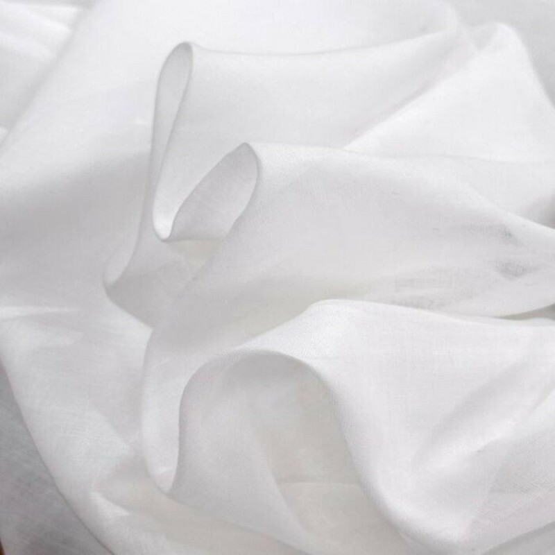 Remy Branco Remy Branco