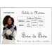 Blusa Tricot Gola Alta