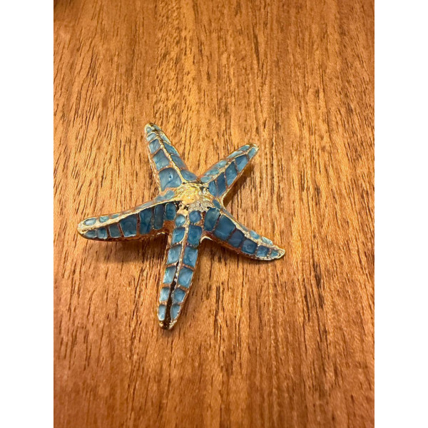 BROCHE ESTRELA DO MAR AZUL - 13982