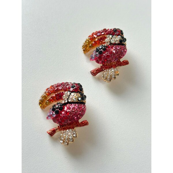 Broche Tucano