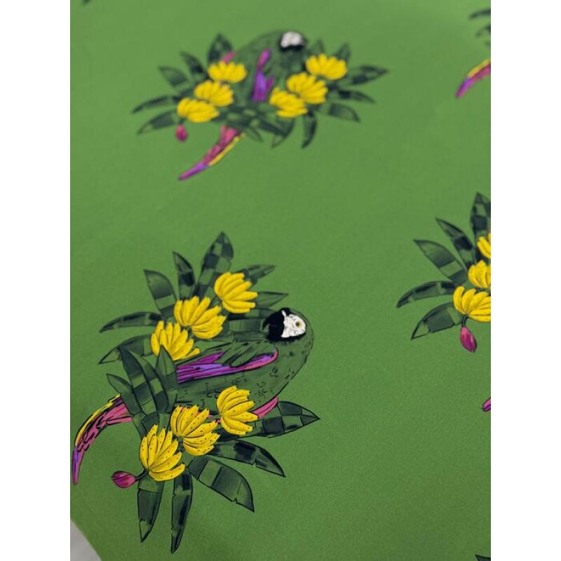 Fluity Verde Tropical Fluity Verde Tropical