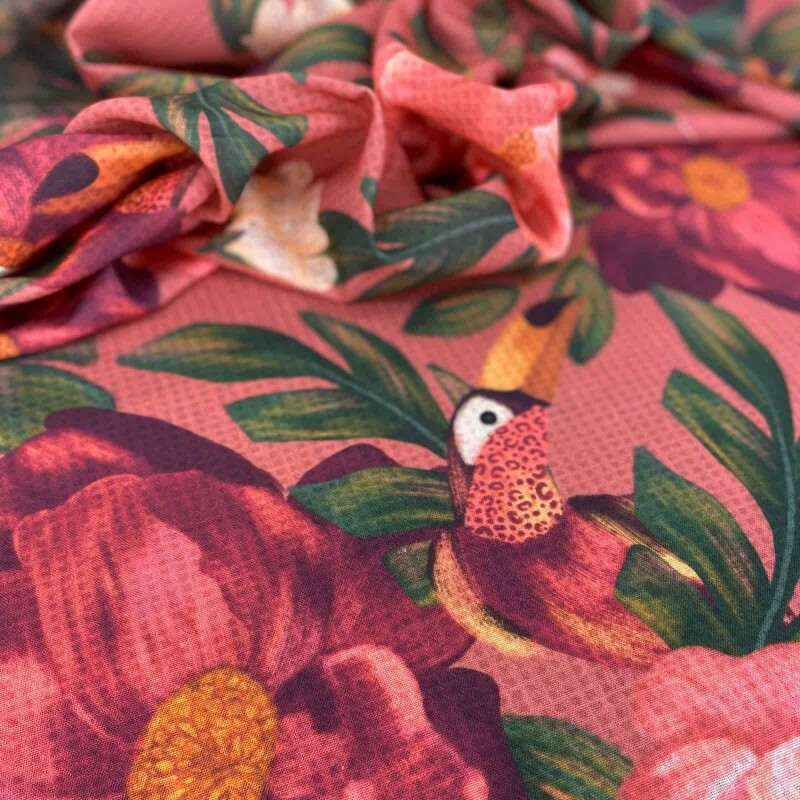 Pollylinho Rose com Tucanos