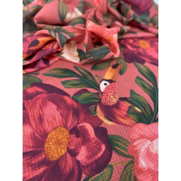 Pollylinho Rose com Tucanos